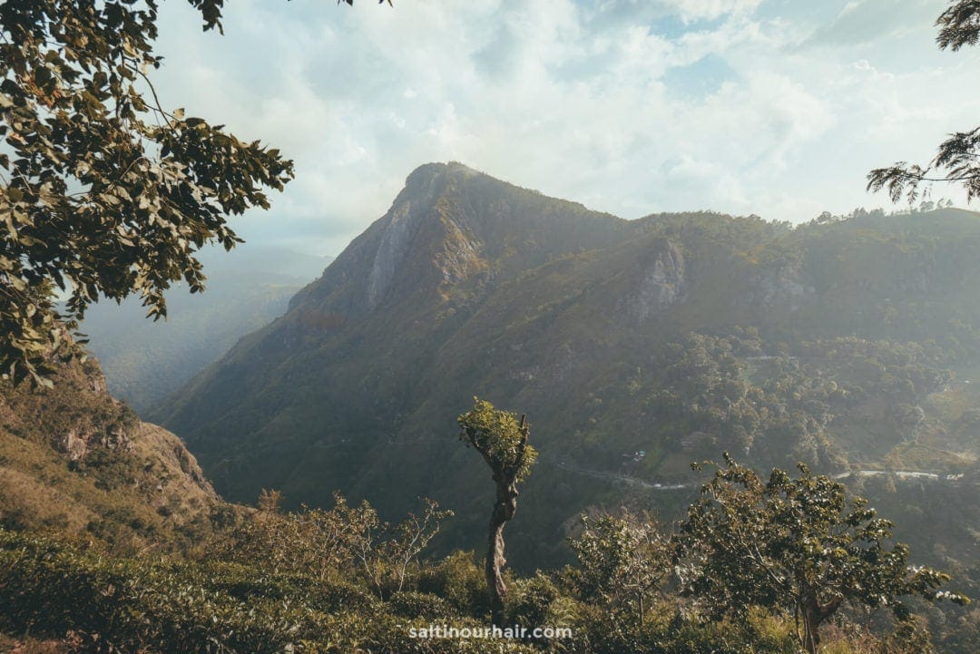 Mountain landscape with a tree in the foreground, hills covered in greenery, and a partly cloudy sky&mdash;capturing the breathtaking beauty of the Ella Rock hike in Sri Lanka.