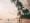 De 10 Mooiste Stranden in Sri Lanka