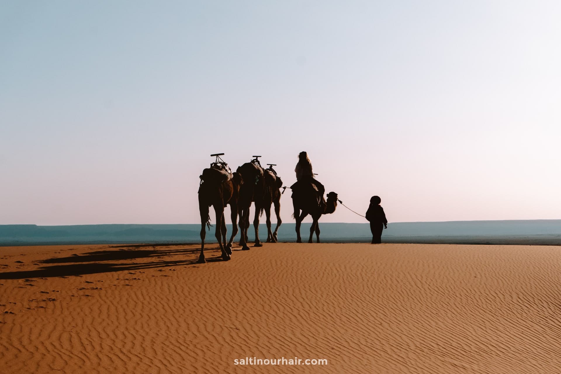 sahara marokko trip