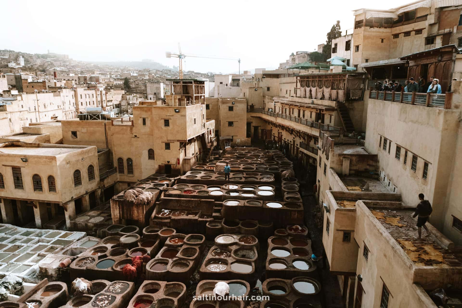 things to do fes morocco tanneries