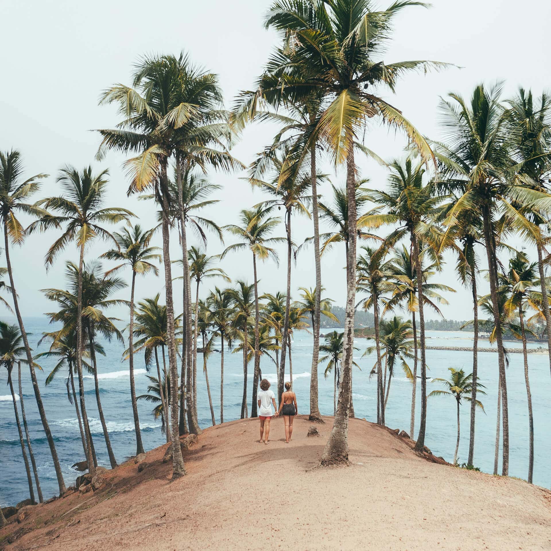 Dingen om te doen Mirissa Sri Lanka kokospalm 