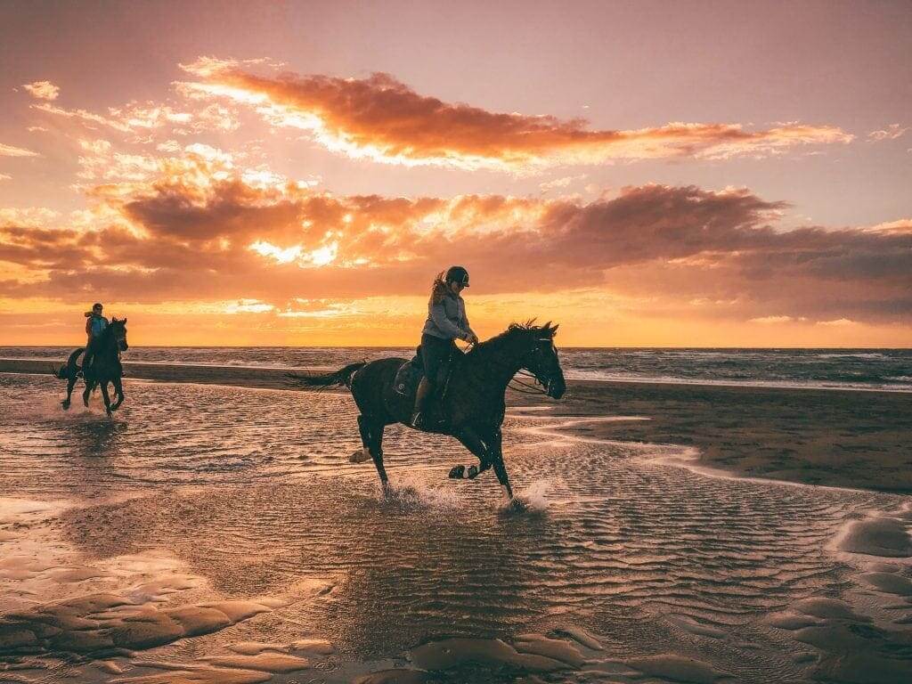 SURFING NETHERLANDS – Surf & Beaches in Goeree-Overflakkee