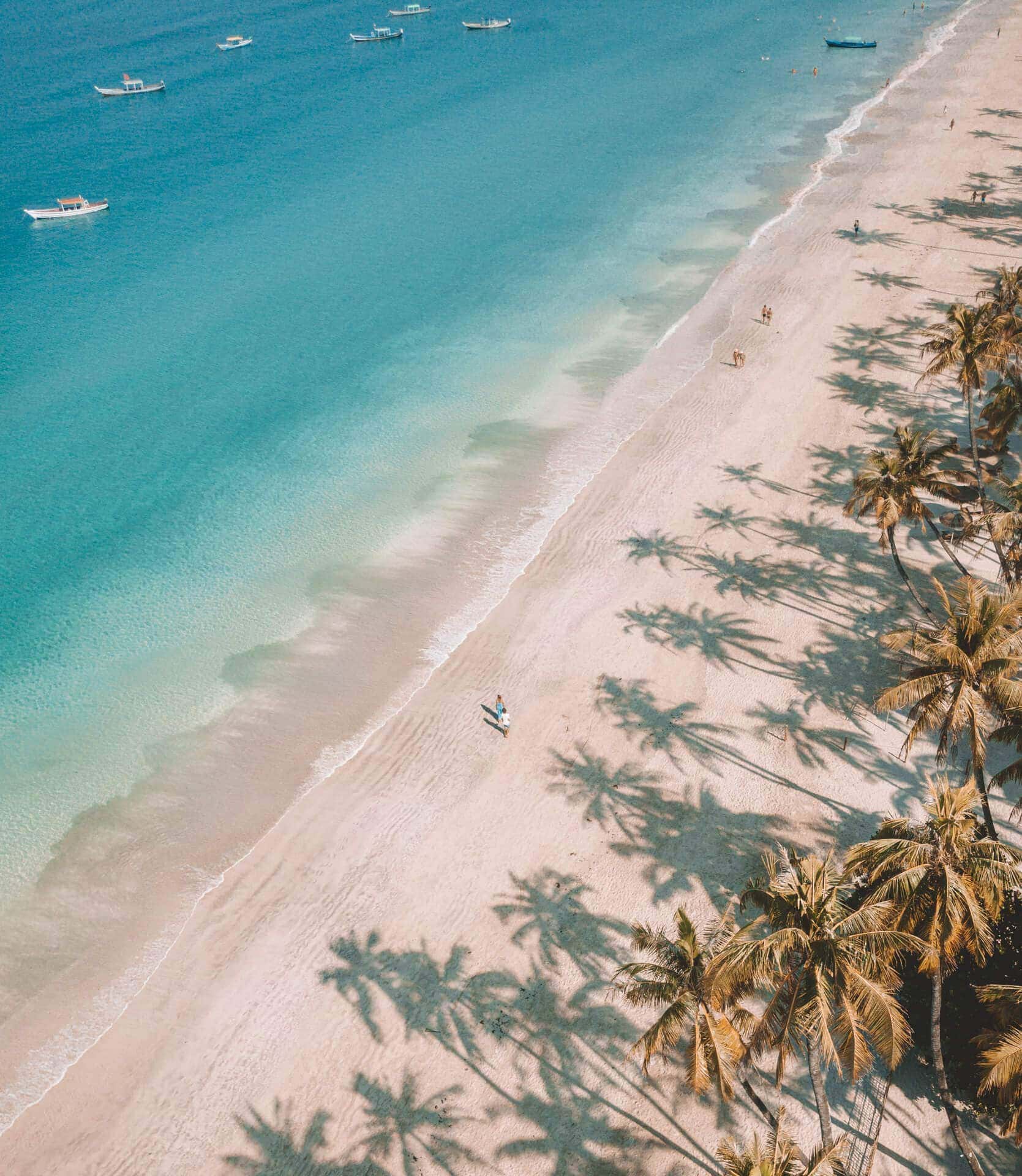 ngapali-most-beautiful-beach-drone-palm