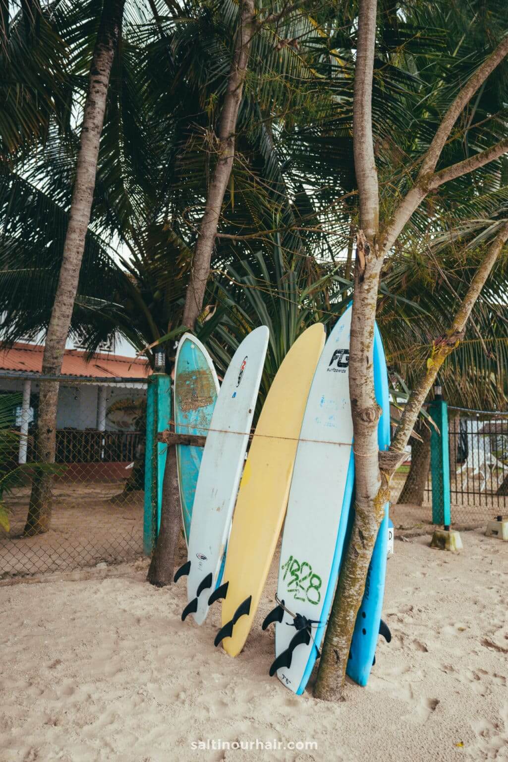 Mirissa, Sri Lanka 9 Best Things To Do (2024 Travel Guide)