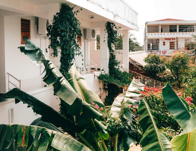 arugam bay guide things to do cozy bay