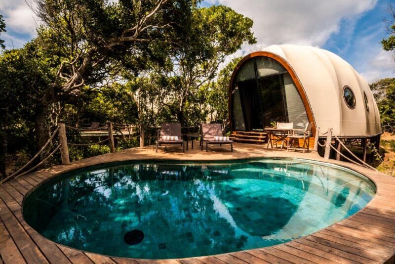 A modern dome-shaped cabin at Wild Coast Lodge with large windows stands next to a small, round outdoor pool surrounded by a wooden deck and trees, offering a unique safari lodge experience.