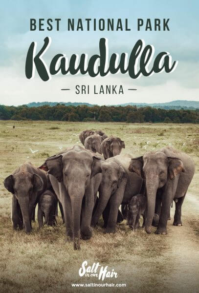 Kaudulla National Park in Sri Lanka
