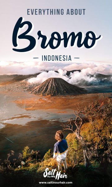 Visit Mount Bromo Volcano: Everything You Need to Know