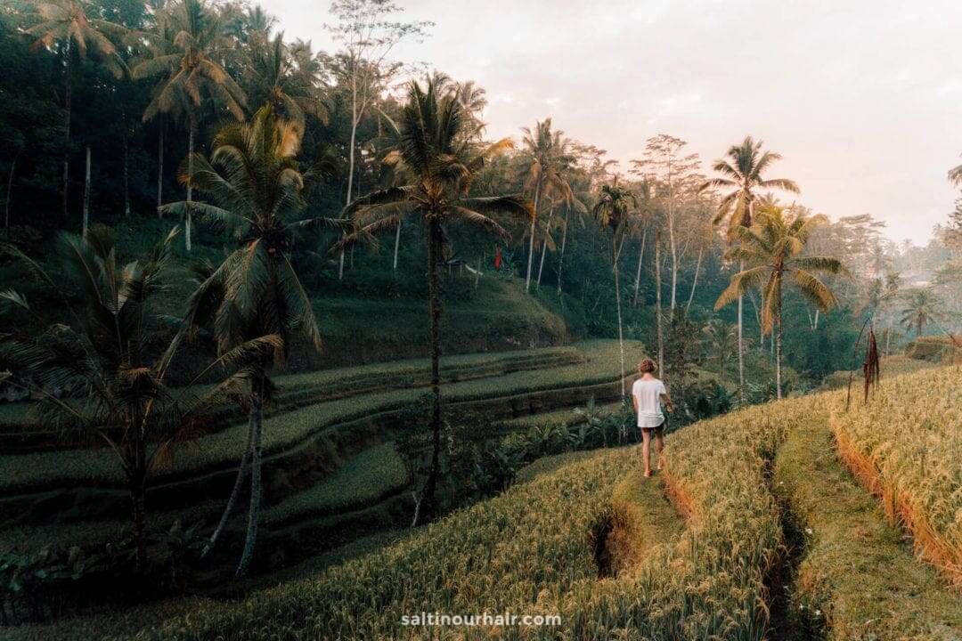 Tegalalang Rice Terrace At Ubud, Bali (Complete Guide)