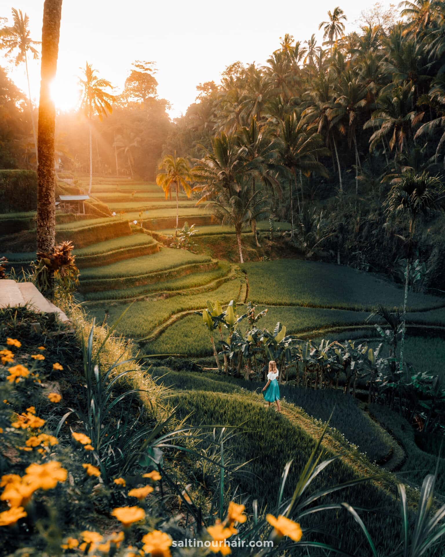 dingen die je moet doen op Bali Tegalalang