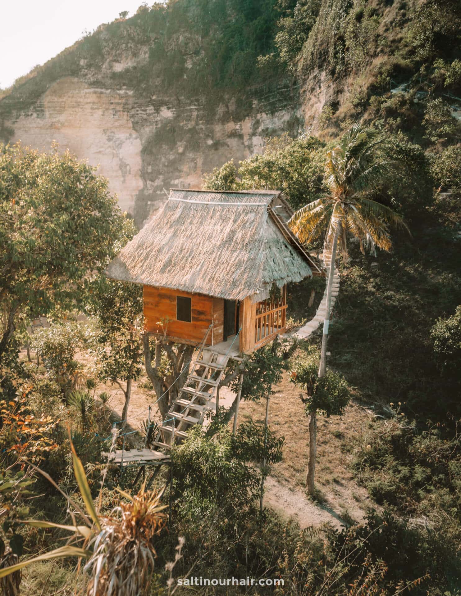 nusa penida trip treehouse