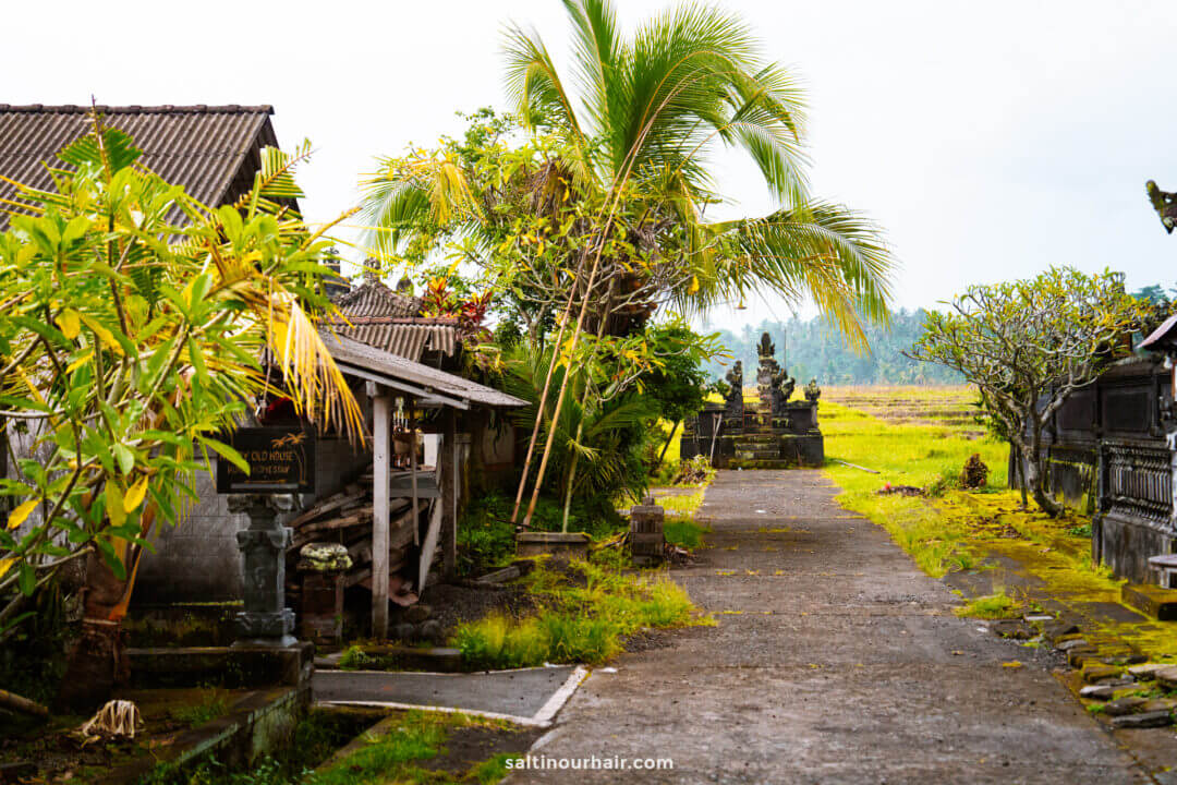 A narrow concrete path runs between small traditional buildings and tropical plants at a charming homestay Bali, leading toward stone structures and rice fields under a cloudy sky.