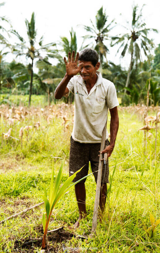 A man stands in a field with tall grass, holding a stick in one hand and raising his other hand next to a young plant, with palm trees in the background, capturing the serene vibe of a homestay Bali experience.