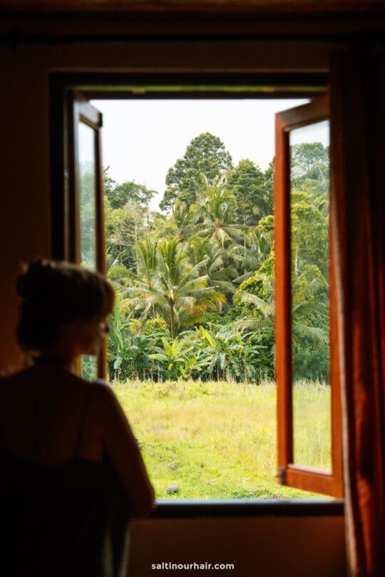 A person stands inside a cozy homestay in Bali by an open window, looking out at a lush green field with palm trees and dense vegetation under a bright sky.