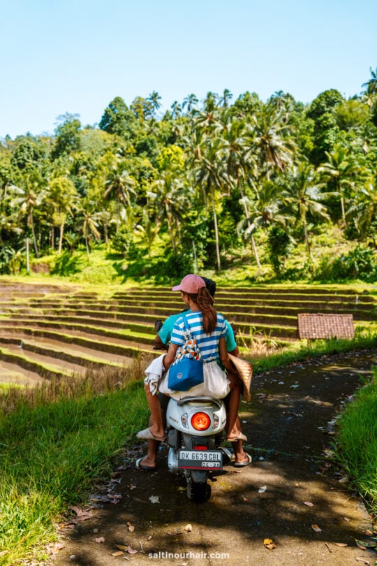 Two people ride a scooter along a narrow path next to terraced rice fields, surrounded by lush greenery and palm trees in daylight, capturing the tranquil charm of a homestay Bali experience.