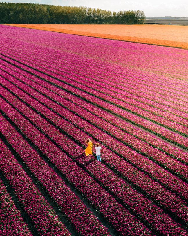 travel photography camera Salt in our hair tulips drone