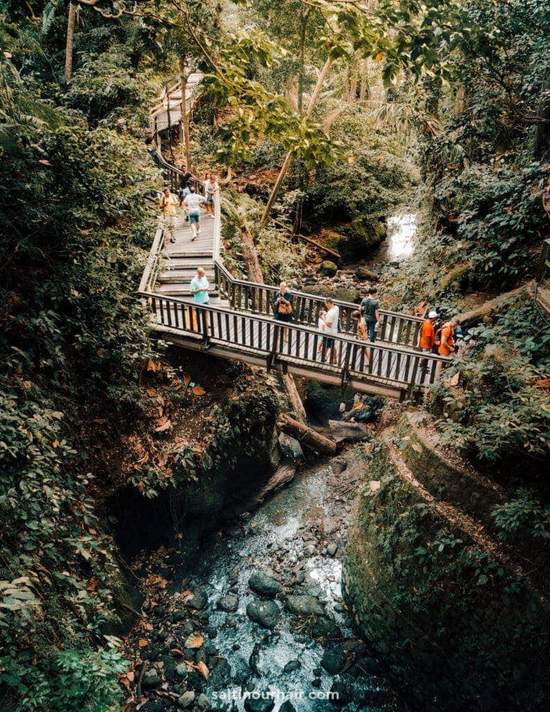 Ubud Monkey Forest: Complete Guide Bali's Sacred Sanctuary