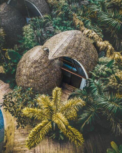 Aerial view of a thatched-roof hut surrounded by dense tropical plants and palm trees, capturing an authentic El Nido panorama.