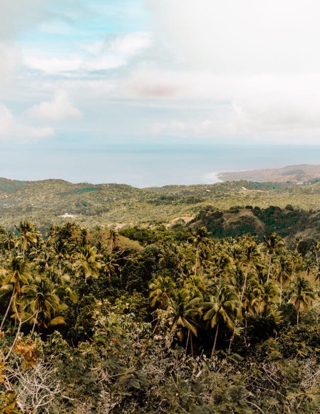 hike siquijor viewpoint