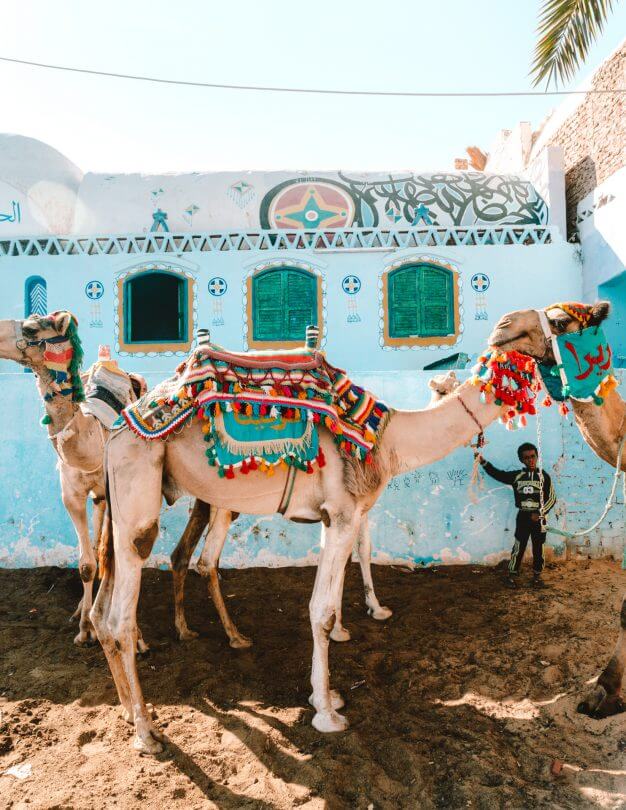 egypte nubische dorp kamelen