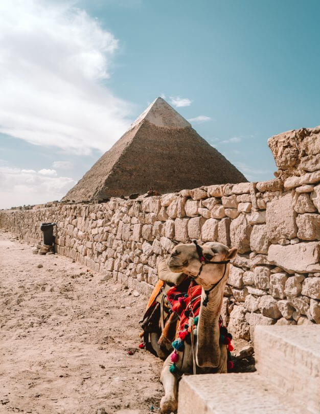 Piramides en Sfinx van Gizeh kameel