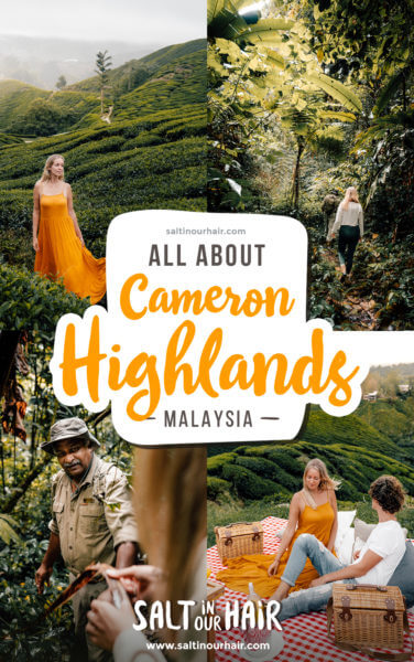 Best Things to do in Cameron Highlands, Malaysia
