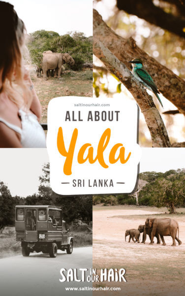 Visiting Yala National Park: The Ultimate Guide