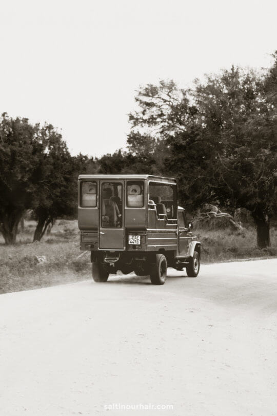yala jeep safari