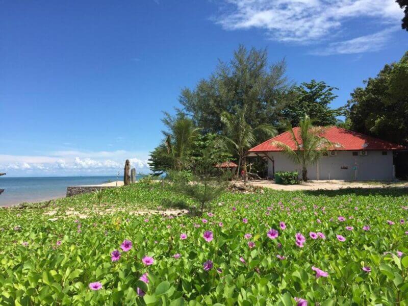 A white house with a red roof sits near a Langkawi beach, surrounded by green plants, purple flowers, and touches of red coral under a clear blue sky.