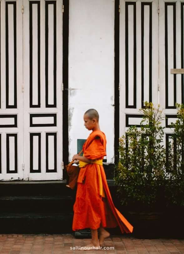 Monks ceremony luang prabang laos