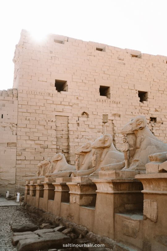 temple egypt