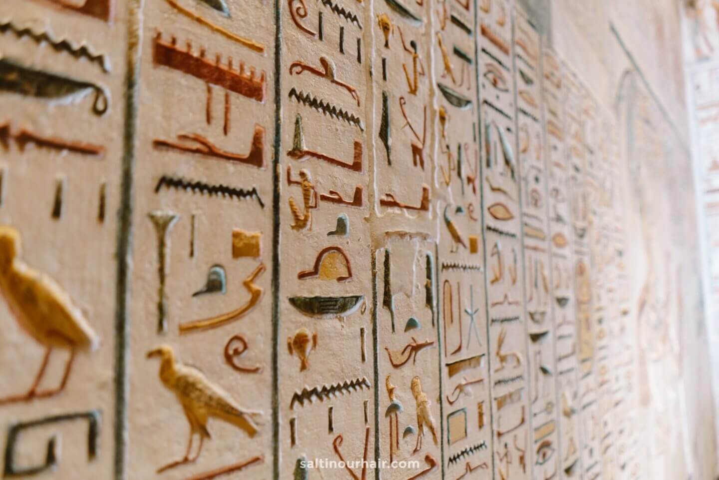 7 Best Things To Do in Luxor, Egypt (2024 Travel Guide)