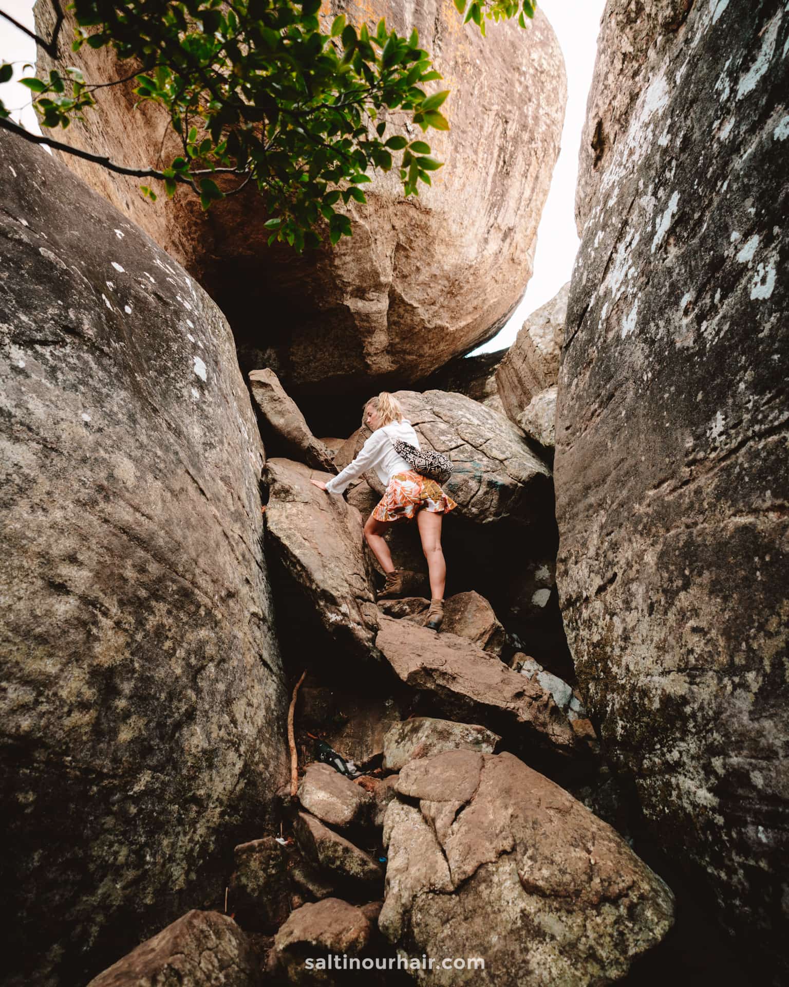 climb Pidurangala rock sri lanka