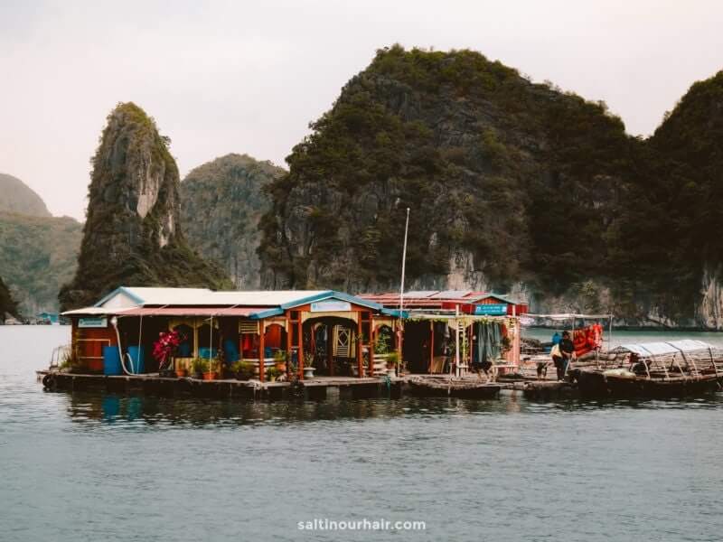 Ha Long Bay: How to visit & Things to do (Vietnam)