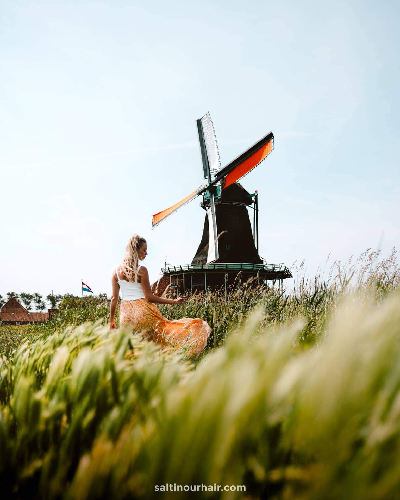 Zaanse Schans Windmills day trips from amsterdam