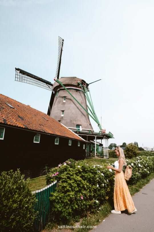 windmills netherlands zaanse schans