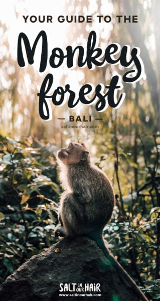 Monkey Forest Ubud: Leuke bezienswaardigheid in Bali