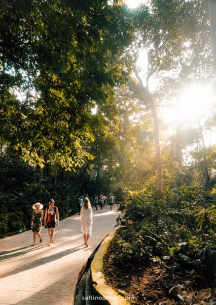 Ubud Monkey Forest: Complete Guide Bali's Sacred Sanctuary