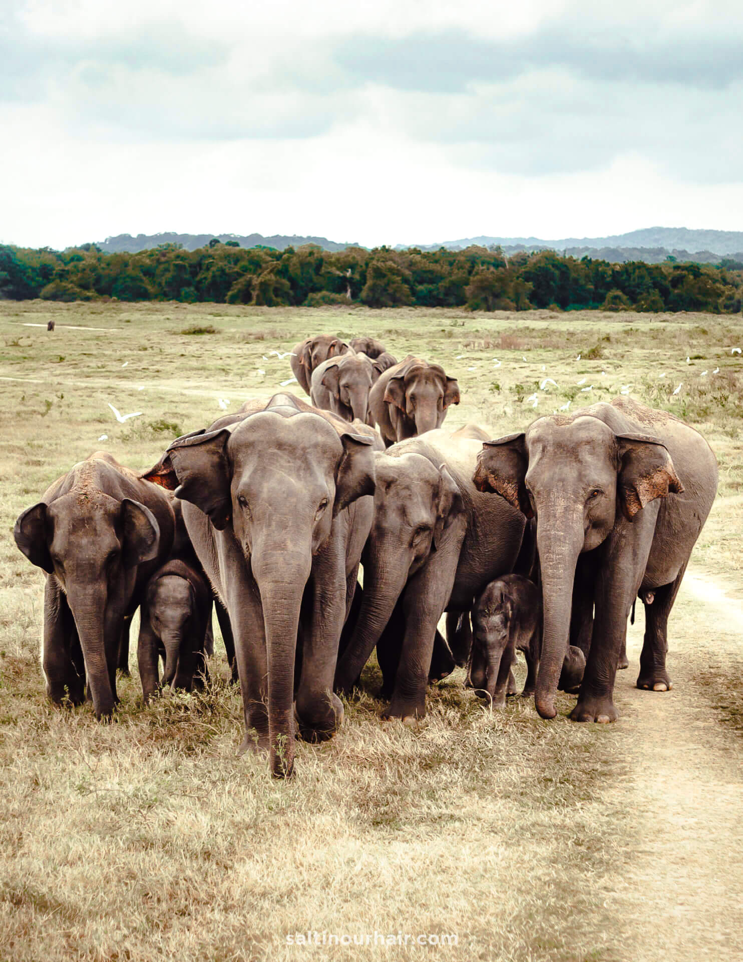 Nationale parken Sri Lanka