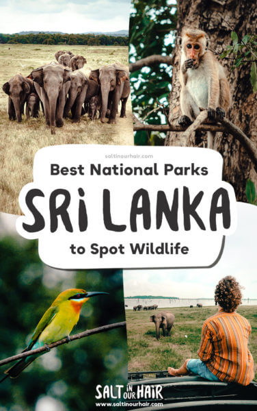 The Best National Parks in Sri Lanka for a Safari