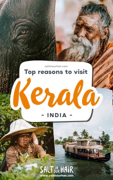 Best Reasons to Visit Kerela, India