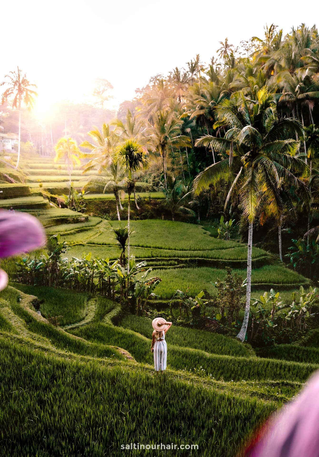 babymoon destinations bali indonesia ricefield