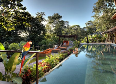 Nayara Springs