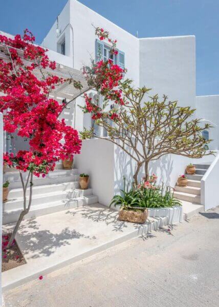 White building with blue shutters, potted plants, and blooming pink bougainvillea and a small tree in front, under a clear blue sky.