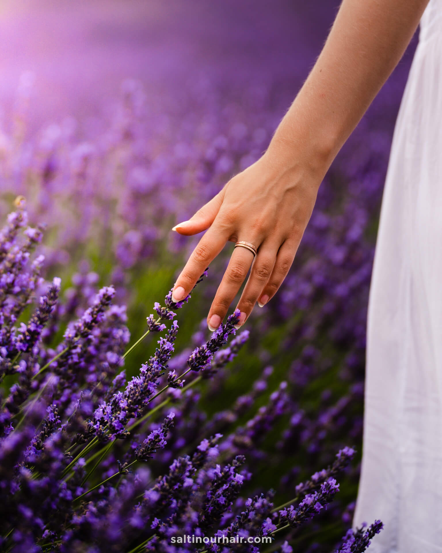 best time to visit provence france lavender