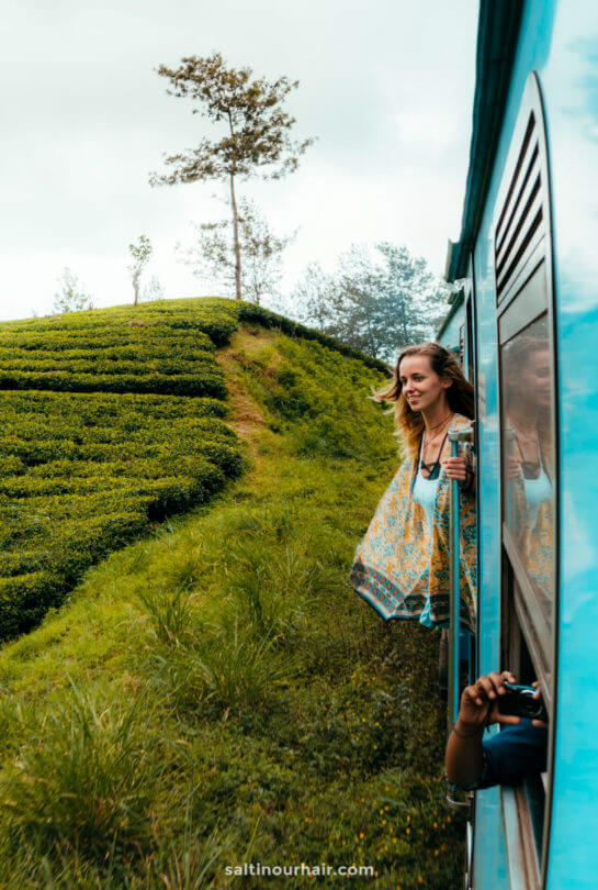 sri lanka train tea plantations