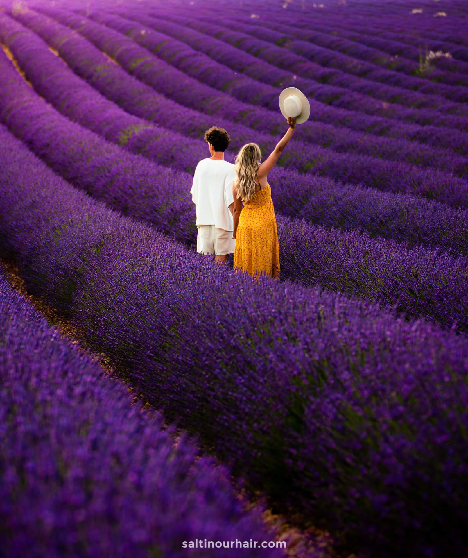 tour de france lavender fields