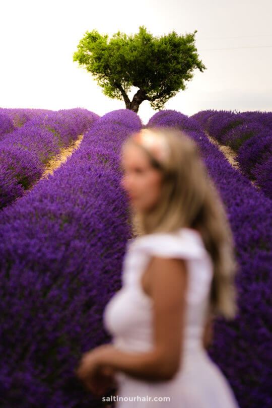 Beste tijd om Franse lavendelvelden te bezoeken