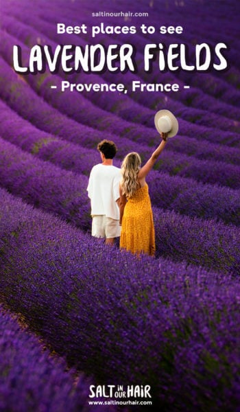 Best Lavender Fields in Provence, France