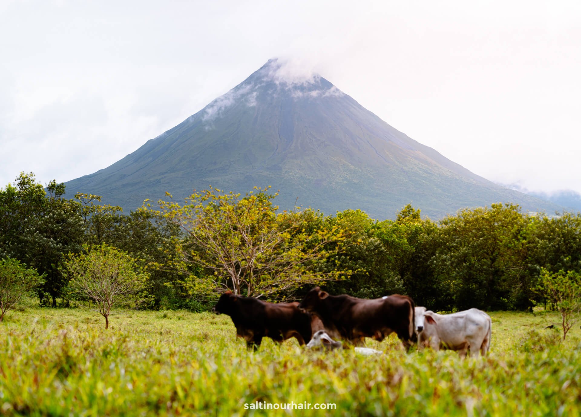la fortuna best things to do costa rica volcano